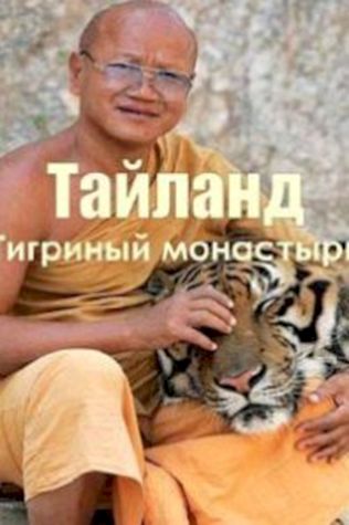 Тайланд. Тигриный монастырь